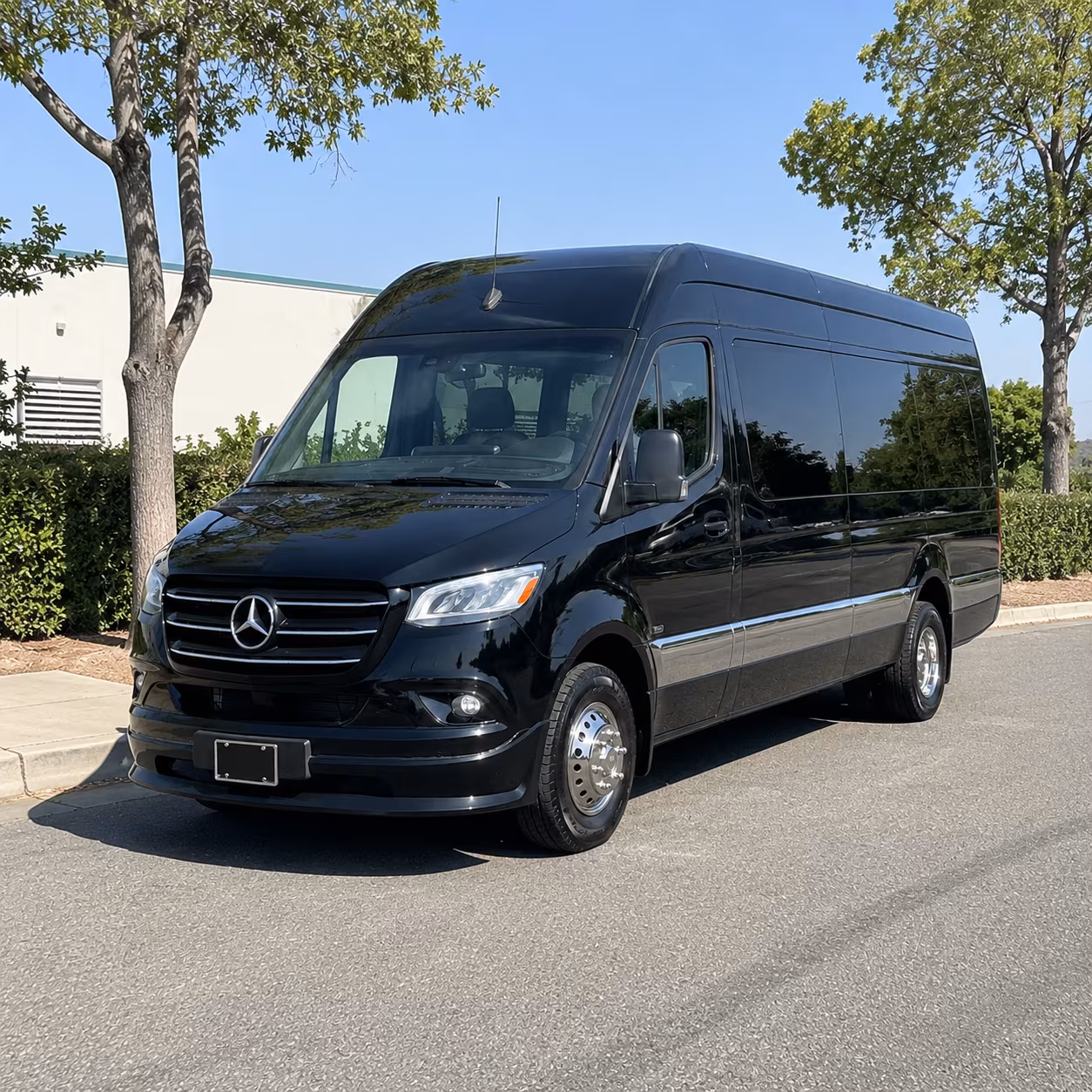 Albany Wedding Transportation & Shuttle Service