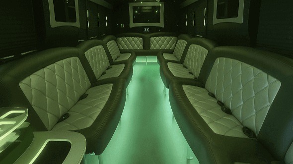albany 20 passenger party bus